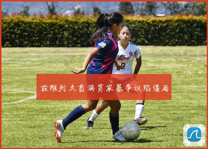 兹维列夫首满贯家暴争议陷僵局